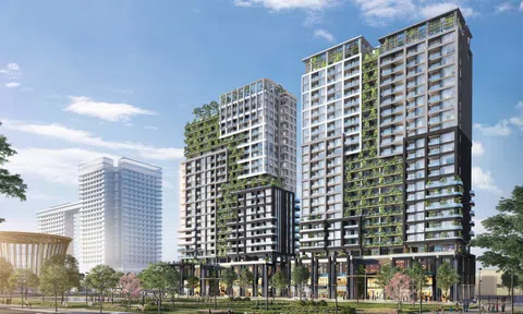 Cầu Thủ Thiêm 2 hoàn thiện trước ngày thông xe